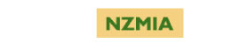  NZ Minerals Association 